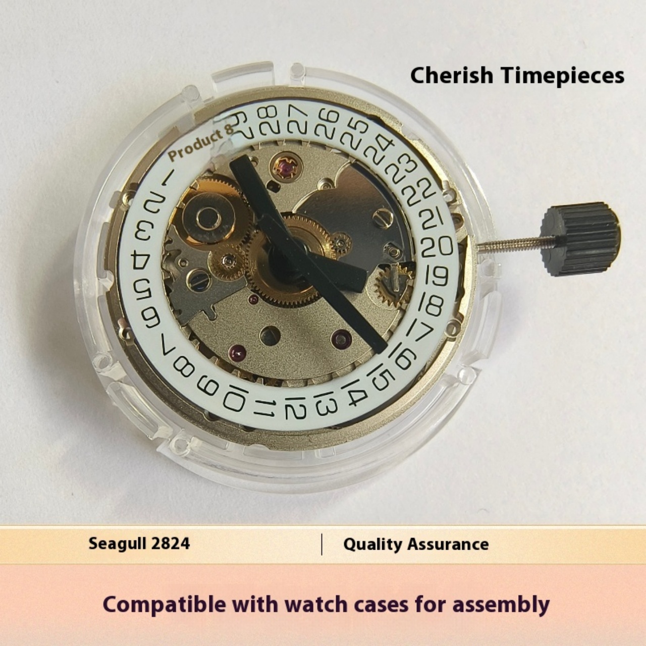 V8 Stainless Steel Eco-Friendl - đánh giá và giá Watch V8